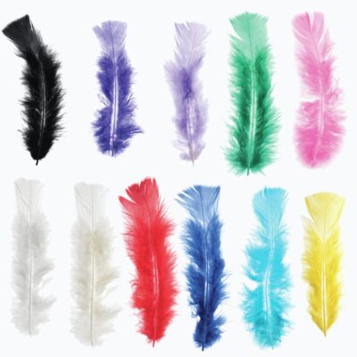 Feathers - Turkey - Packs